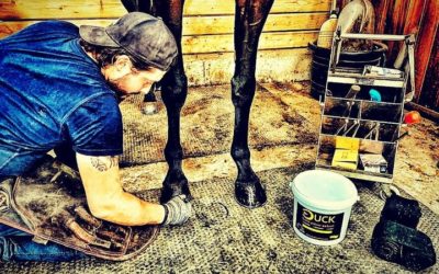Duck-hoofcare…  Une gamme de soins pour sabots indispensable !