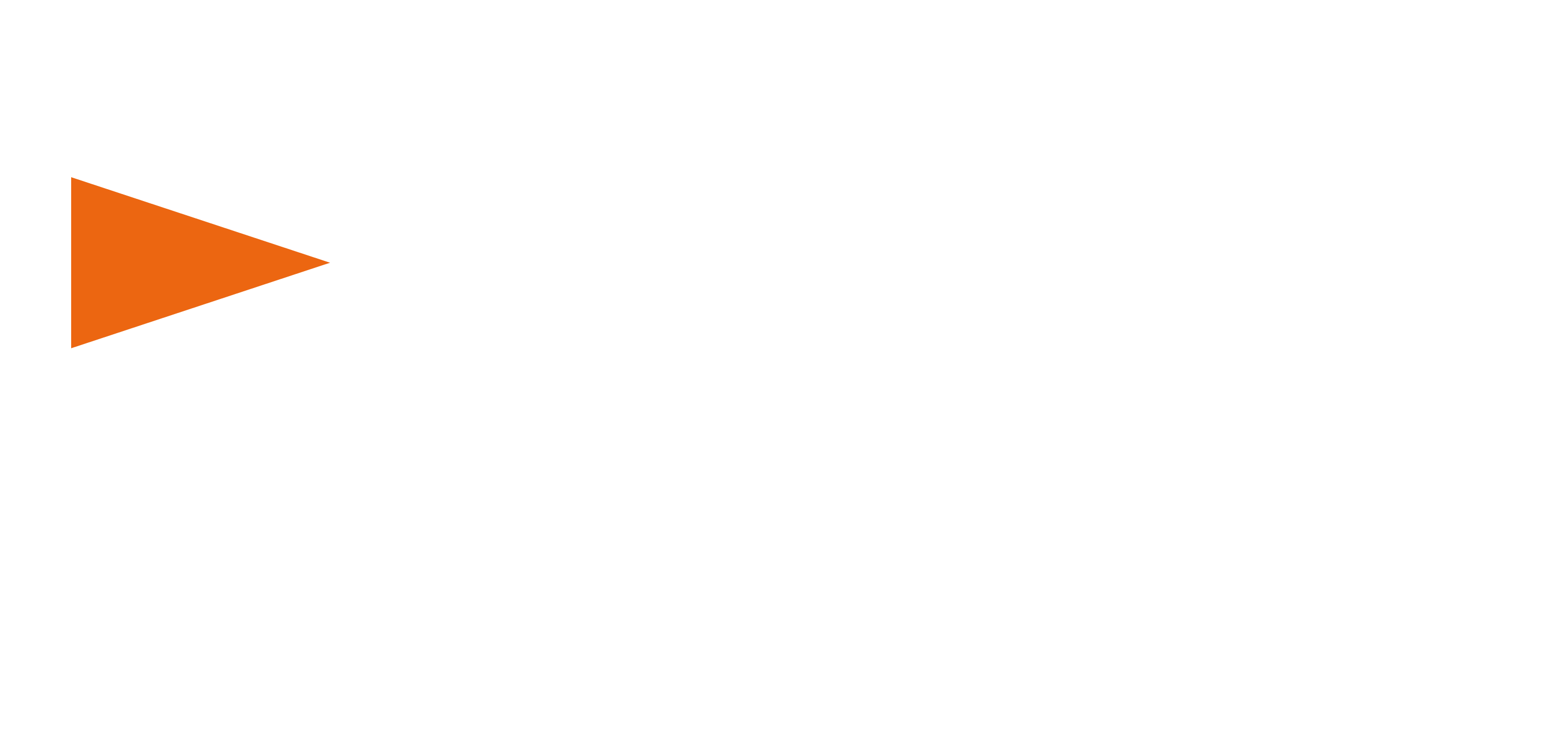 logo-duck